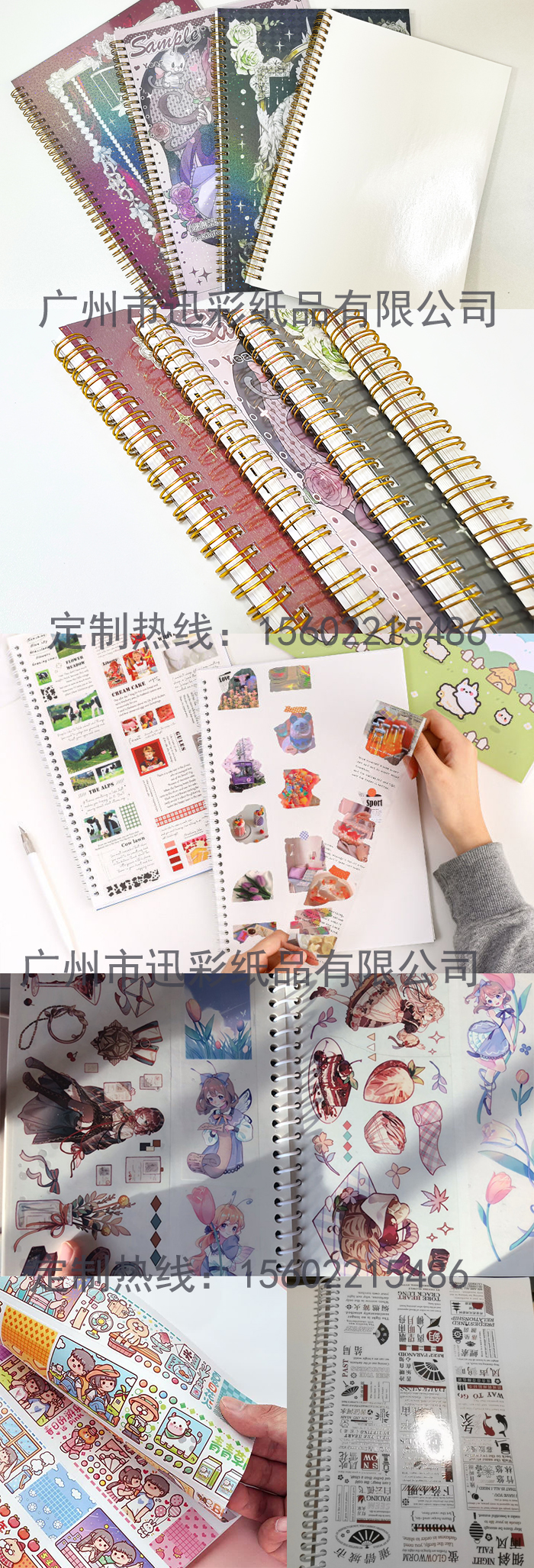产品详情-离型本